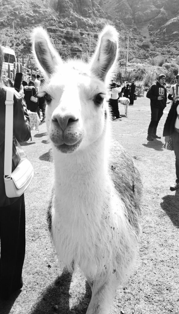 #2. 9/2023: The Andes Mountains